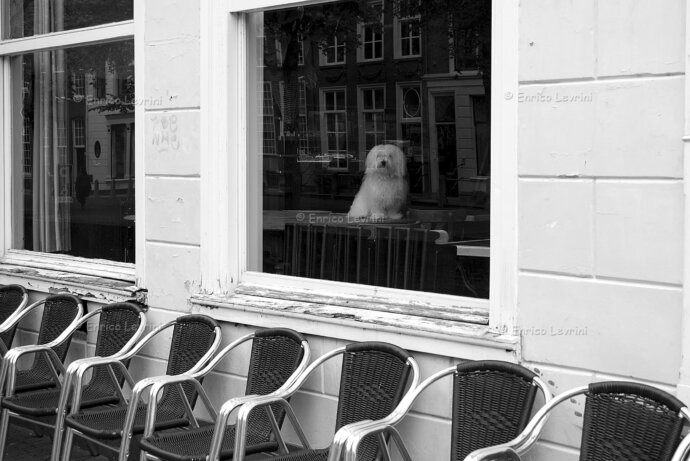 Amsterdam: Are You Talkin' to Me?