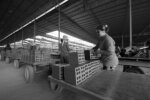 cambodia_brick_factory_120_D851251
