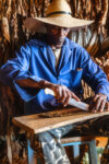 The Making of a Cigar (6/15), Contryside near Viñales, Cuba