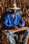 The Making of a Cigar (8/15), Contryside near Viñales, Cuba