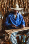 The Making of a Cigar (10/15), Contryside near Viñales, Cuba