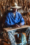 The Making of a Cigar (11/15), Contryside near Viñales, Cuba