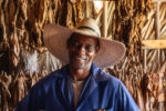 The Making of a Cigar (13/15), Contryside near Viñales, Cuba